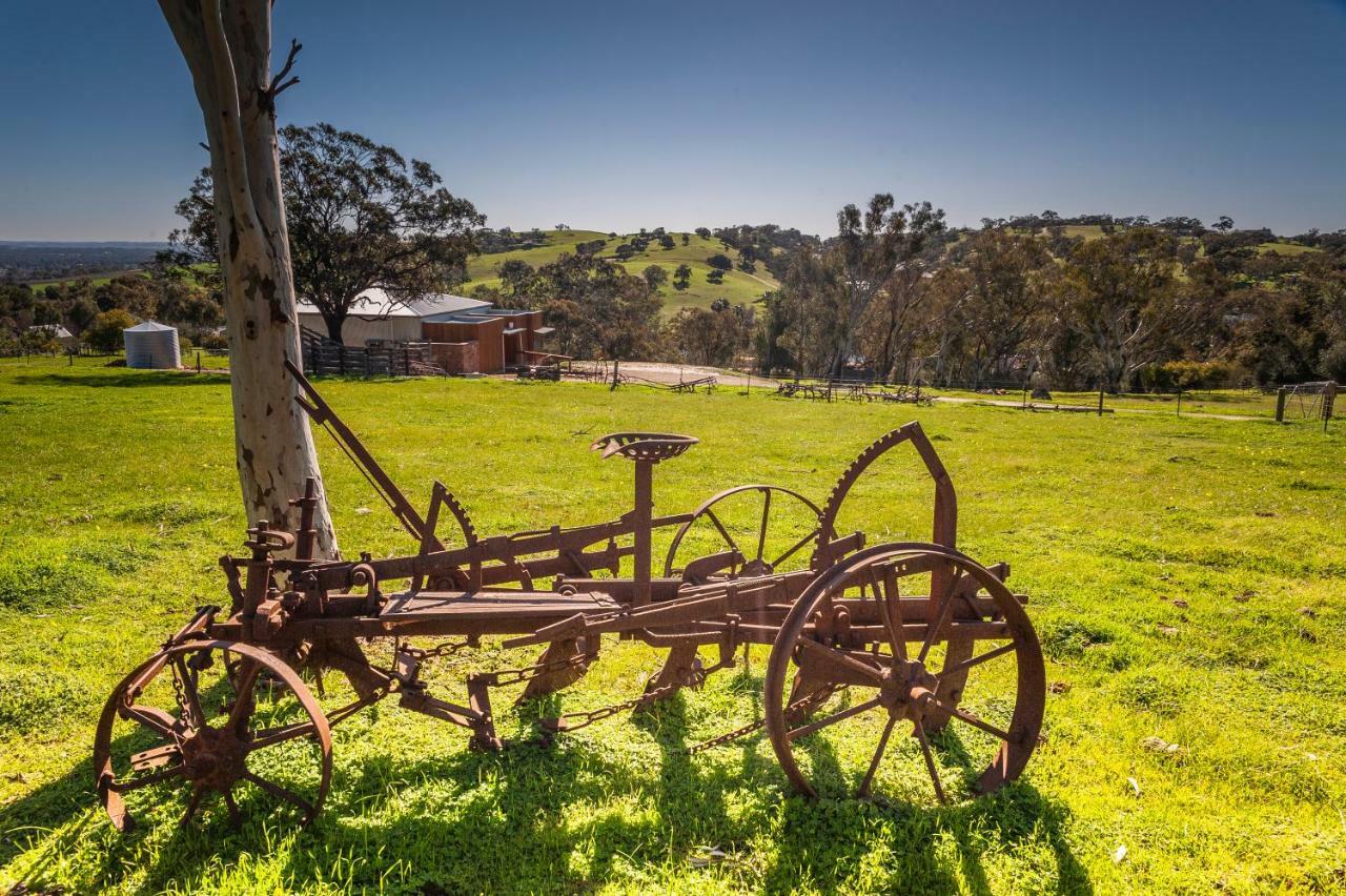 Angaston Saleyards Luxury Accommodation Екстериор снимка